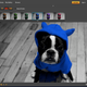 Illustration for article titled Adobe Photoshop Express Now Live: Free Online Photoshop for Everyone